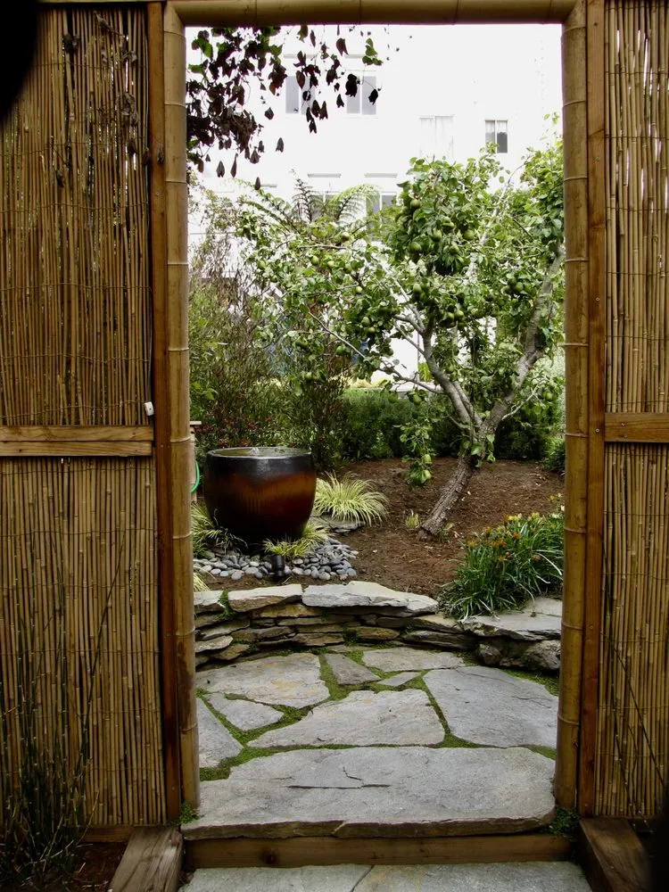 Local yard maintenance near you across San Francisco, CA - Terry Mulrooney