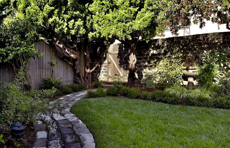 Reliable lawn mowing service for year-round maintenance in San Francisco, CA by Terry Mulrooney