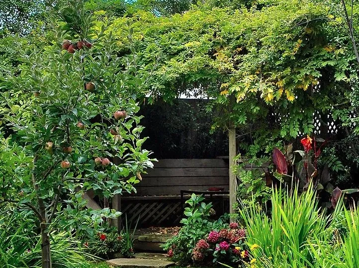 Professional yard cleanup service for year-round maintenance in San Francisco, CA by Terry Mulrooney