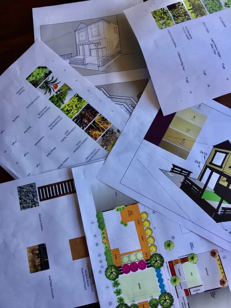 Local yard maintenance in San Francisco, CA by Terry Mulrooney