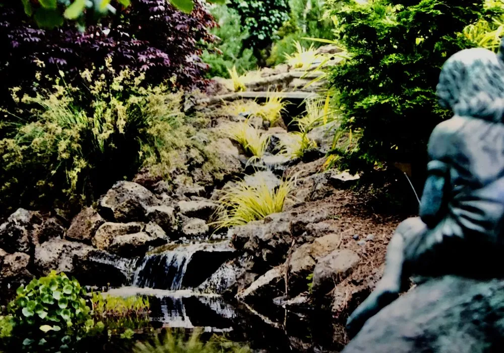 Professional yard cleanup service near you across San Francisco, CA - Terry Mulrooney