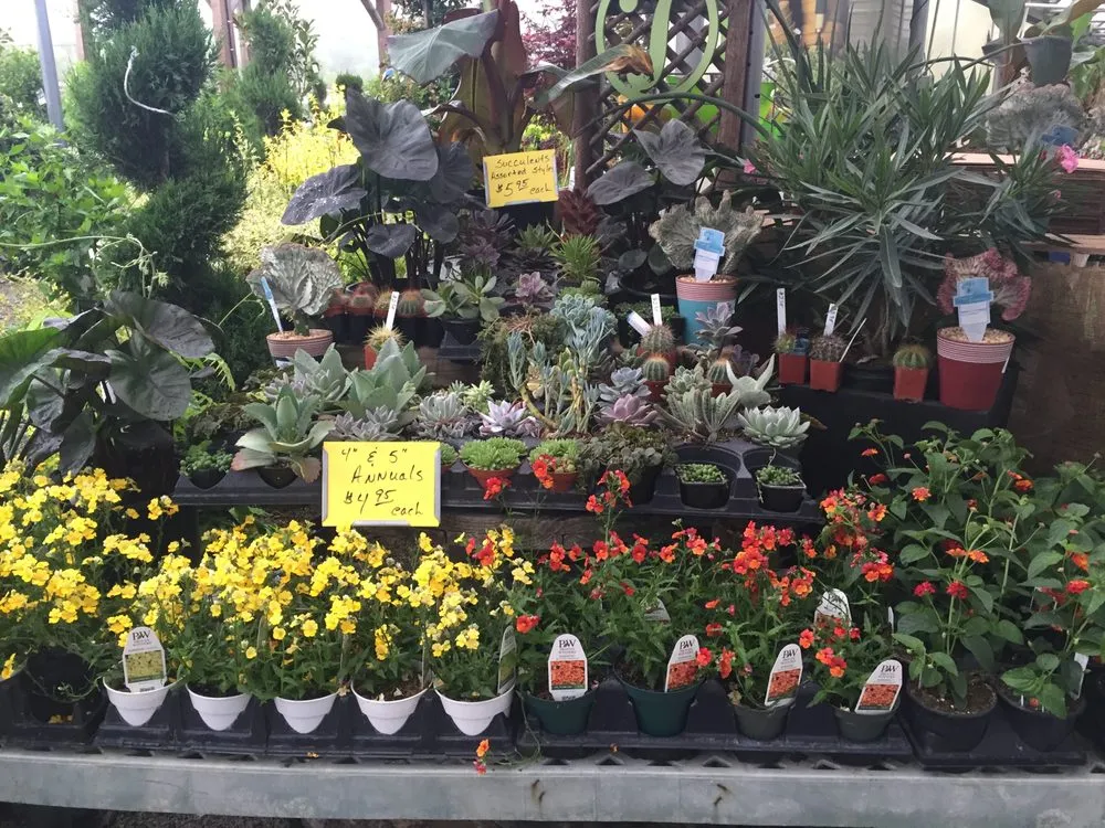 Expert lawn care service near you in Cahokia Heights, IL by Terry's Home and Garden