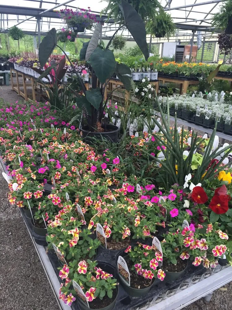 Trusted lawn care service experts serving Cahokia Heights, IL - Terry's Home and Garden