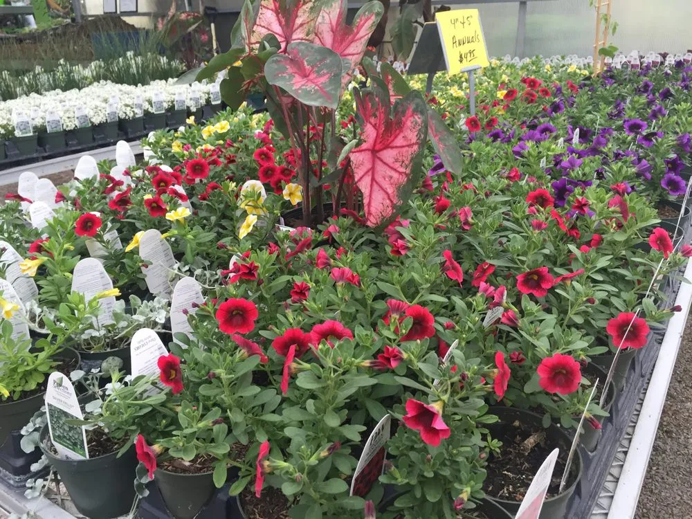 Expert outdoor landscaping for residential properties across Cahokia Heights, IL - Terry's Home and Garden