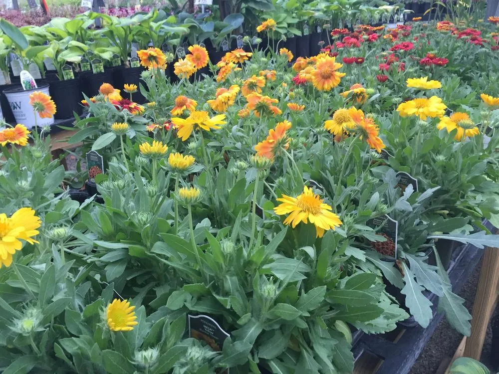 Affordable garden landscaping near you in Cahokia Heights, IL by Terry's Home and Garden