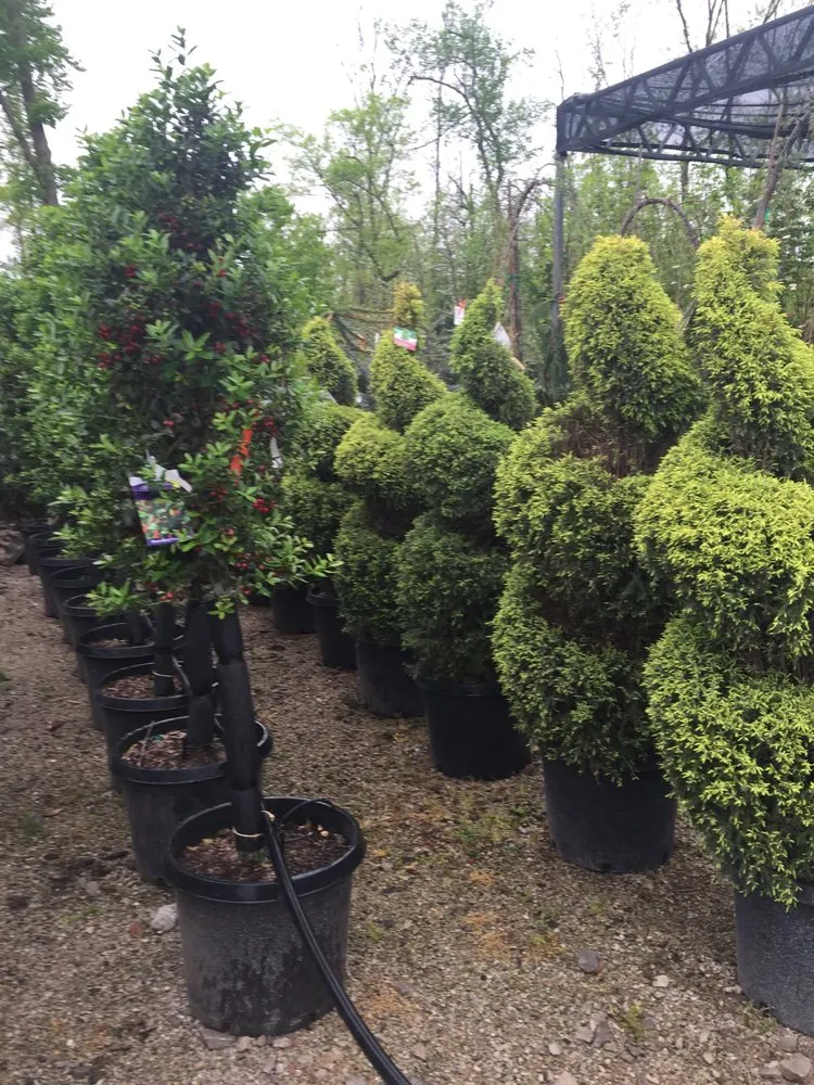 Top-rated landscape design in Cahokia Heights, IL - Terry's Home and Garden