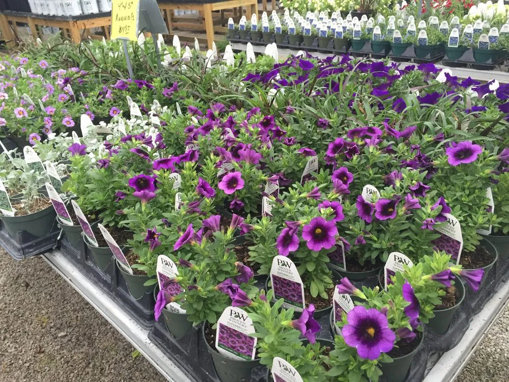 Professional landscaping services for outdoor upgrades in Cahokia Heights, IL by Terry's Home and Garden