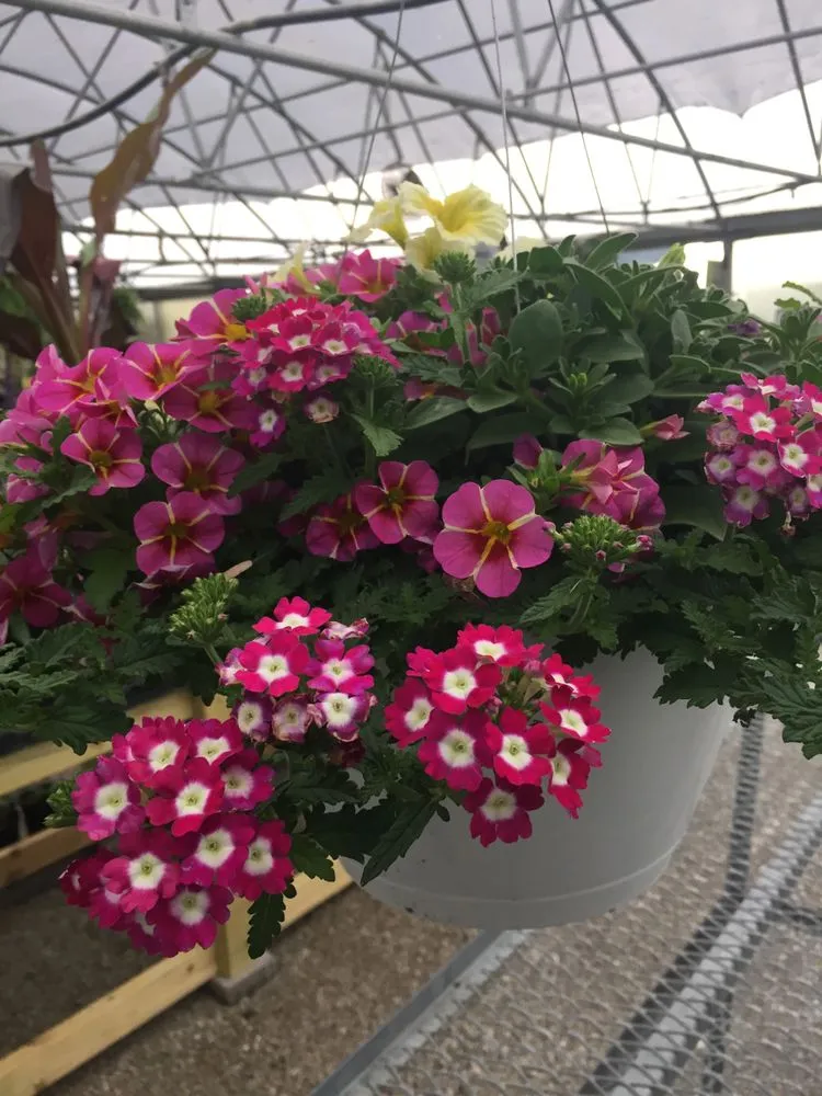 Affordable landscape installation for homes across Cahokia Heights, IL - Terry's Home and Garden