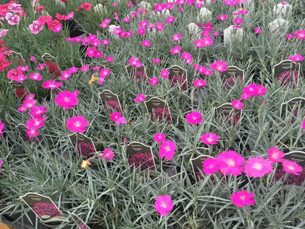 Professional landscape design experts serving Cahokia Heights, IL - Terry's Home and Garden