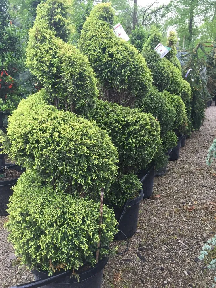 Local lawn mowing service for beautiful yards in Cahokia Heights, IL by Terry's Home and Garden