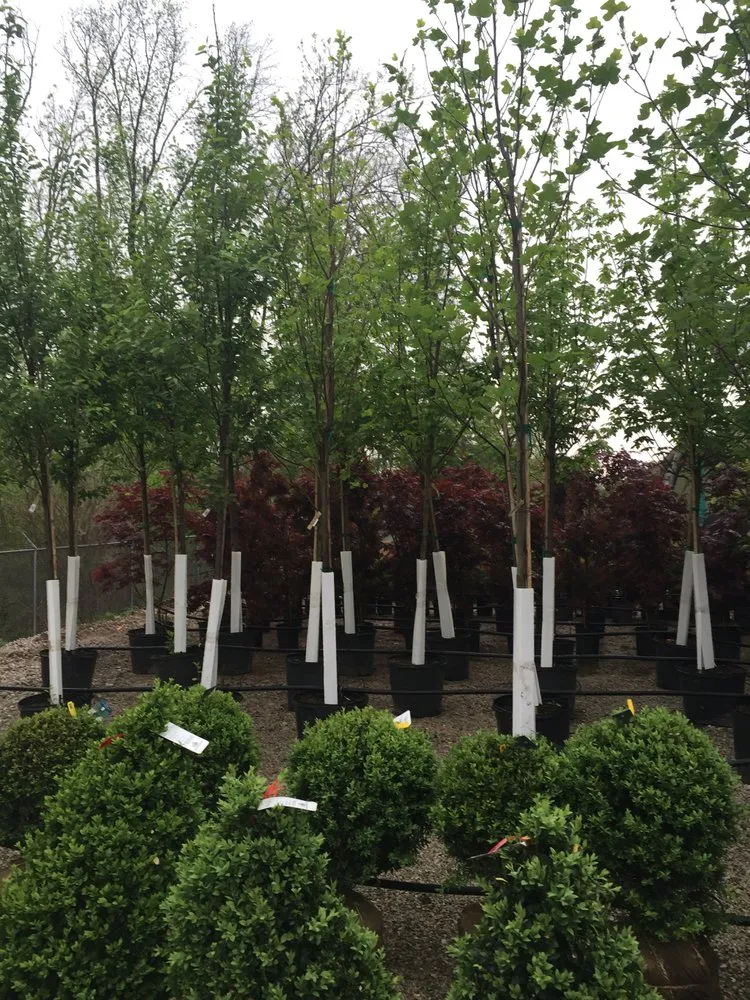 Professional landscape installation near you across Cahokia Heights, IL - Terry's Home and Garden