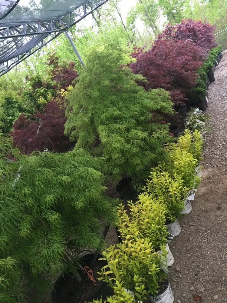 Custom residential landscaping in Cahokia Heights, IL by Terry's Home and Garden