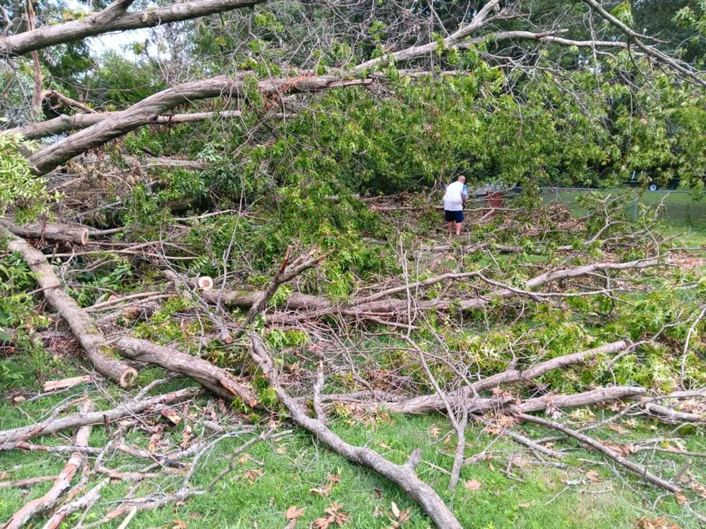 Professional garden landscaping experts serving Terre Haute, IN - Terry's Landscape And More