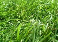 Trusted residential landscaping in Crestview, FL - Terry's Landscape