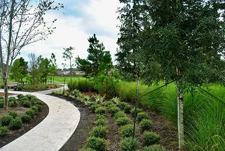 Affordable residential landscaping in Katy, TX - Terry's Landscape