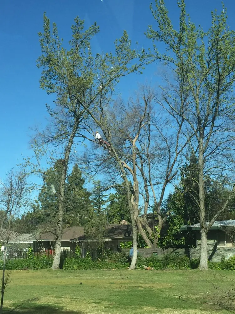 Local landscaping services for homes in Loomis, CA by Terry's Landscape