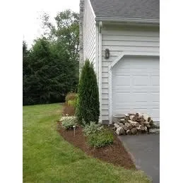 Reliable lawn care service in Riverview, FL - Terry's Lawn & Landscape