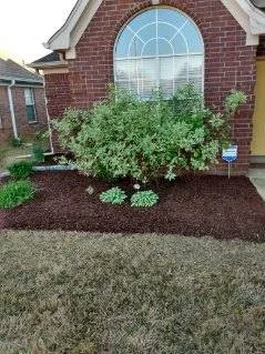 Top-rated lawn mowing service experts serving Memphis, TN - Terry's Lawn Care & Cleaning Services