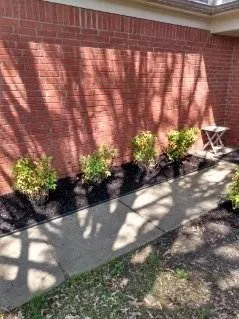 Custom residential landscaping experts serving Memphis, TN - Terry's Lawn Care & Cleaning Services