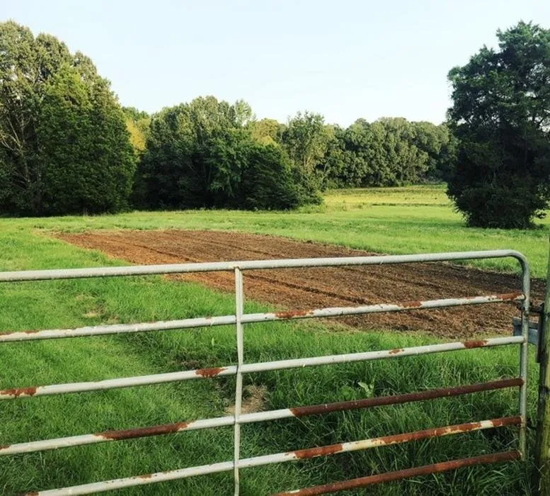 Custom yard cleanup service in Decatur, AL - Terry's Lawn Care