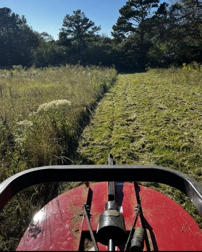 Trusted lawn mowing service for year-round maintenance across Decatur, AL - Terry's Lawn Care