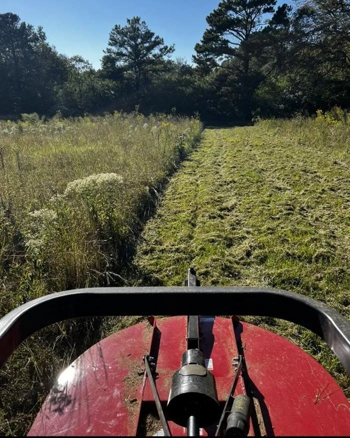 Professional outdoor landscaping for homes across Decatur, AL - Terry's Lawn Care
