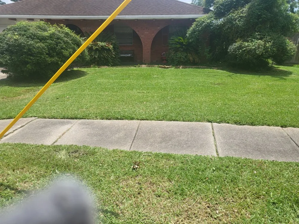 Custom lawn care service in New Orleans, LA by Terry's Lawn Care