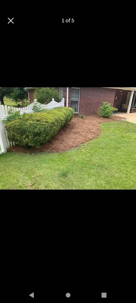 Local yard cleanup service for homes across Pontotoc, MS - Terry's Lawn Care