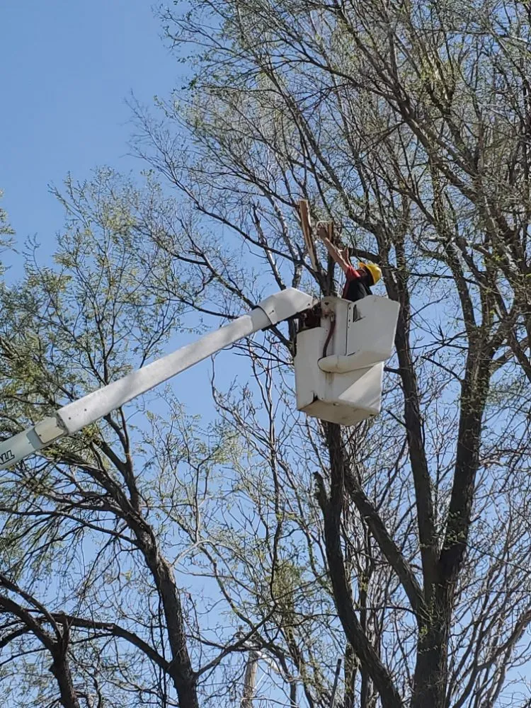Local outdoor landscaping for outdoor upgrades across Junction City, KS - Terry's Mowing N Then Some