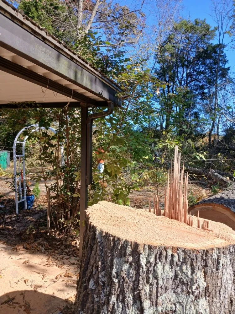 Local landscape installation for outdoor upgrades in Palmyra, IN by Terry's Tree & Landscape