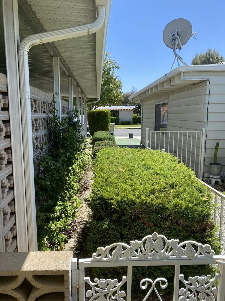 Expert yard cleanup service experts serving San Jacinto, CA - Tesoro Landscaping