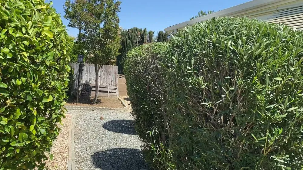 Local landscaping services for beautiful yards across San Jacinto, CA - Tesoro Landscaping