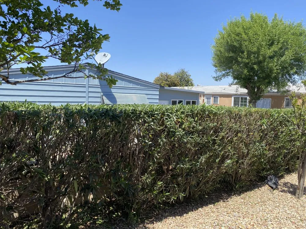 Affordable lawn care service in San Jacinto, CA by Tesoro Landscaping