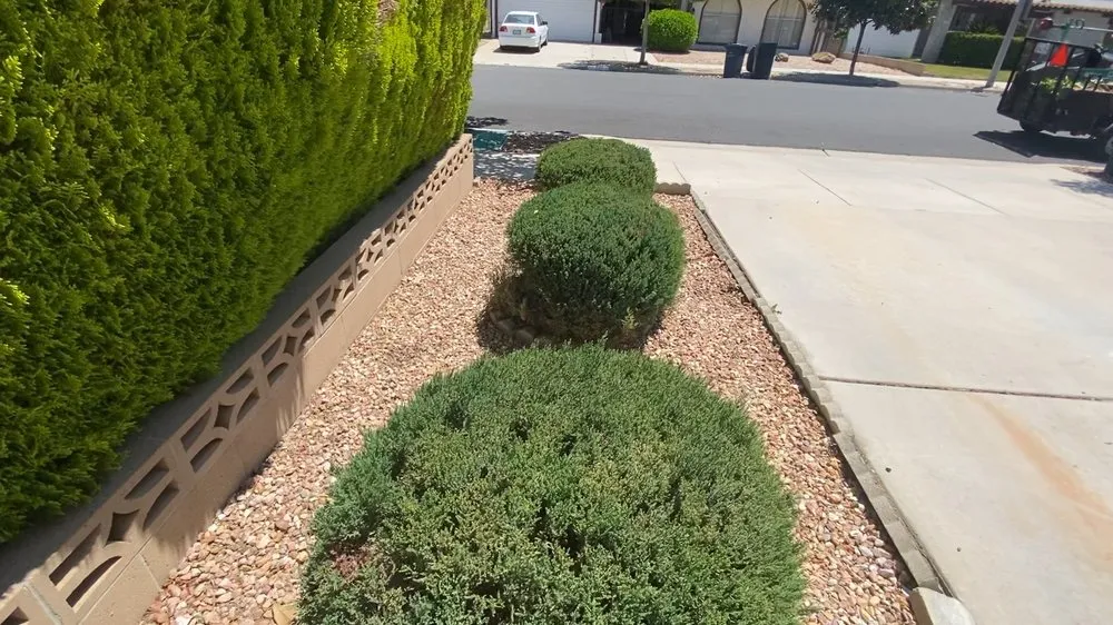 Reliable residential landscaping for year-round maintenance in San Jacinto, CA by Tesoro Landscaping