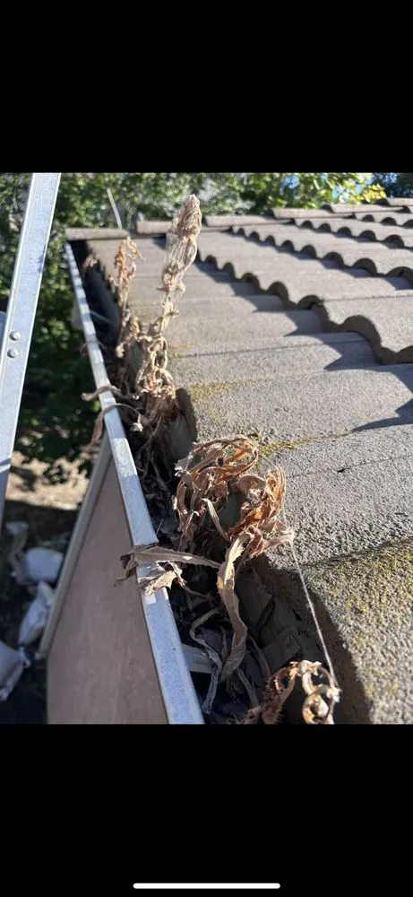 Custom garden landscaping for year-round maintenance in Modesto, CA by Tesoro Pristine Property Cleaning