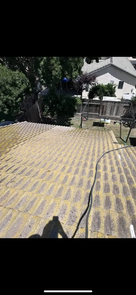 Local landscaping services for beautiful yards in Modesto, CA by Tesoro Pristine Property Cleaning