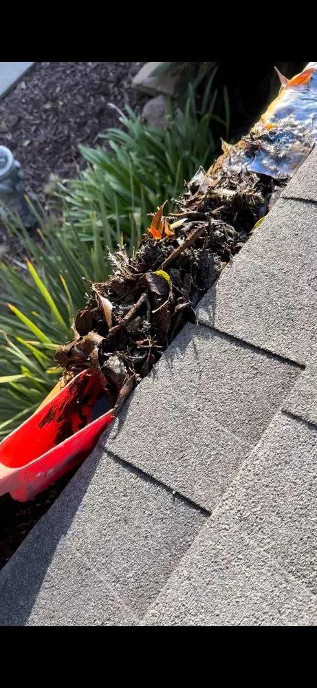 Top-rated garden landscaping experts serving Modesto, CA - Tesoro Pristine Property Cleaning