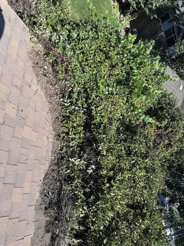 Top-rated landscape installation in Modesto, CA by Tesoro Pristine Property Cleaning