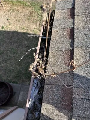 Tesoro Pristine Property Cleaning Logo