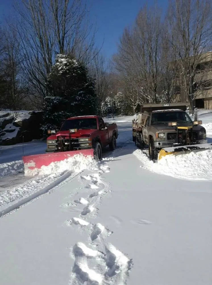 Top-rated yard cleanup service in Fairfield, CT by Tessier's Landscaping