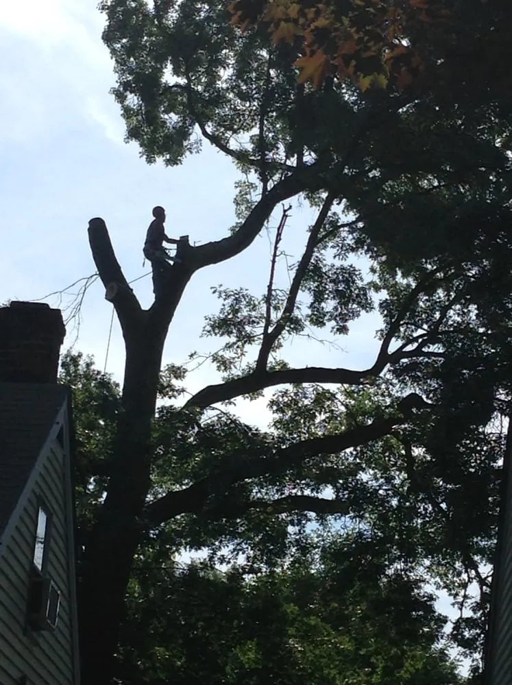 Custom yard maintenance for outdoor upgrades across Fairfield, CT - Tessier's Landscaping