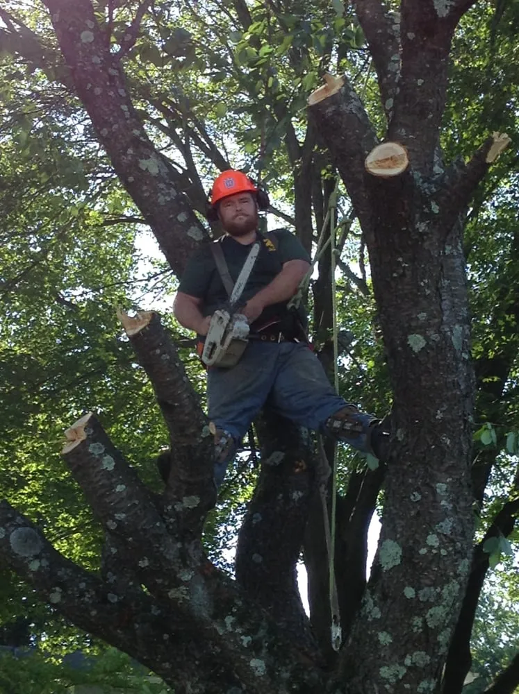 Reliable yard cleanup service for homes in Fairfield, CT by Tessier's Landscaping