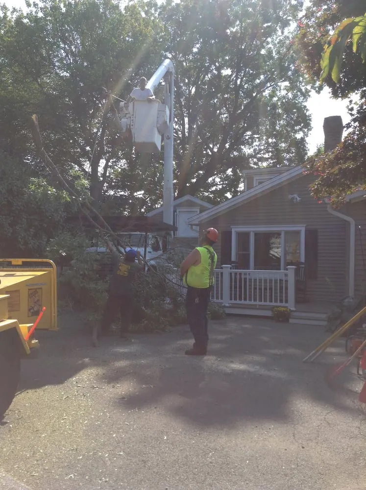 Reliable lawn mowing service for beautiful yards in Fairfield, CT by Tessier's Landscaping