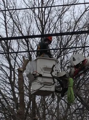 Tessier's Landscaping Logo
