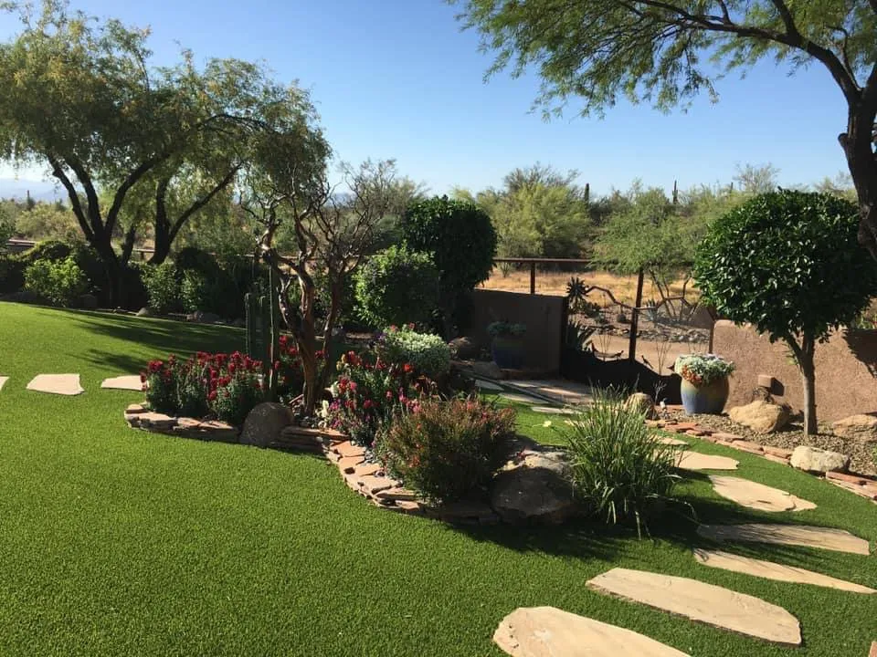 Expert yard cleanup service experts serving Scottsdale, AZ - Testa Landscape Construction
