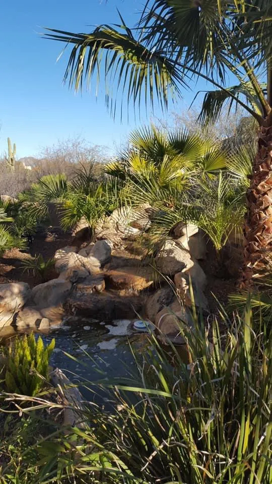 Expert lawn mowing service in Scottsdale, AZ by Testa Landscape Construction