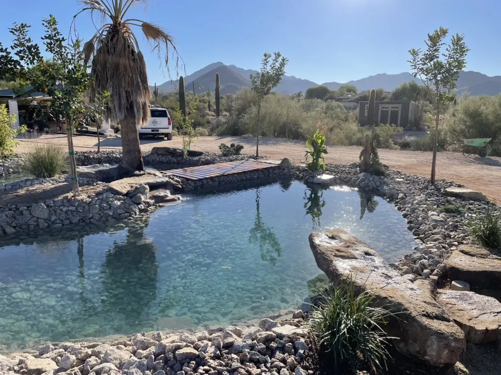 Local outdoor landscaping for beautiful yards across Scottsdale, AZ - Testa Landscape Construction