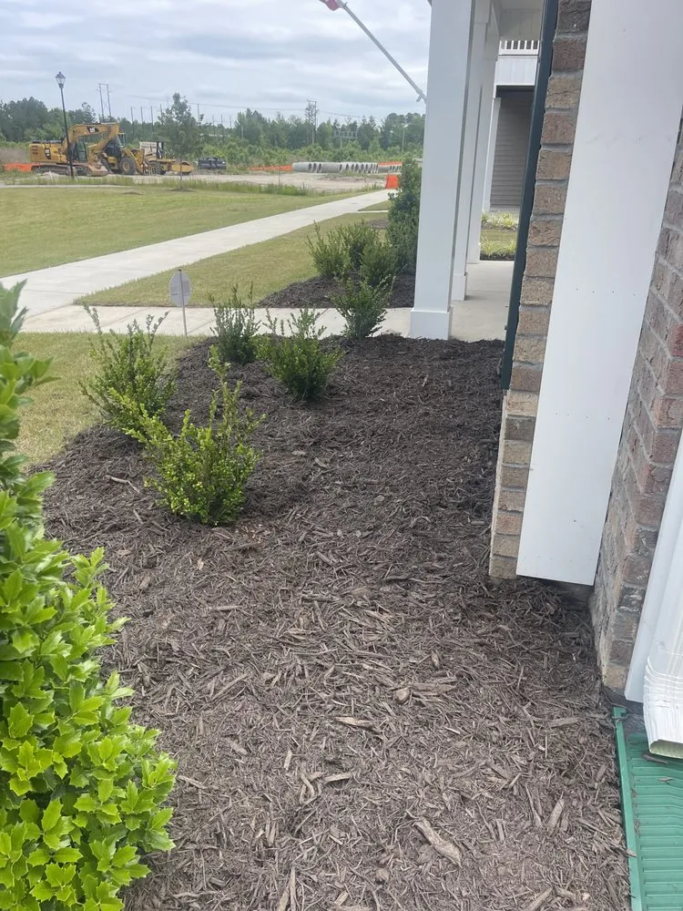 Local landscape installation for outdoor upgrades in New Bern, NC by Testament Lawn Care