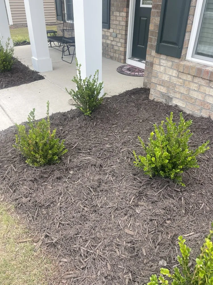 Local outdoor landscaping in New Bern, NC by Testament Lawn Care