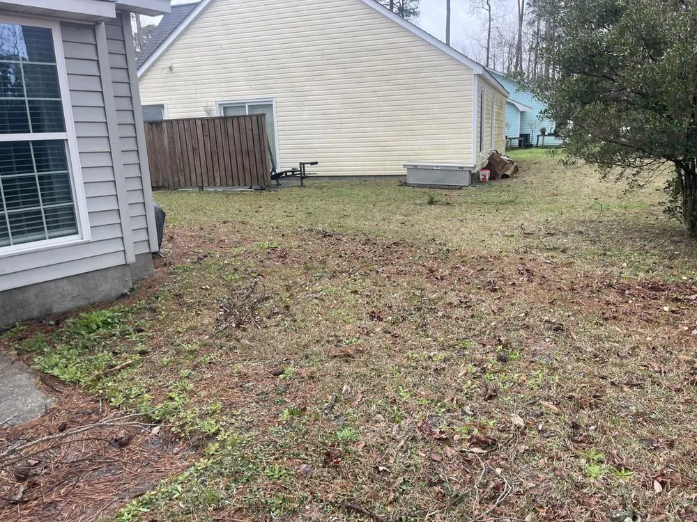 Professional garden landscaping for homes in New Bern, NC by Testament Lawn Care